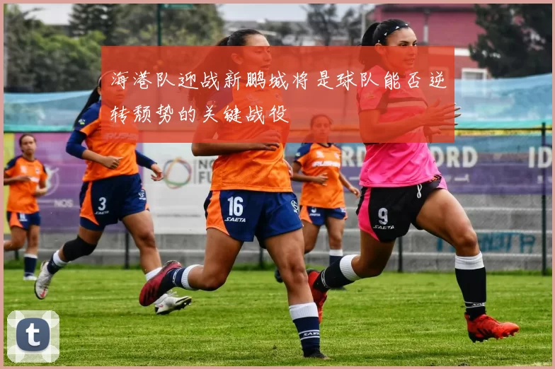 海港队迎战新鹏城将是球队能否逆转颓势的关键战役