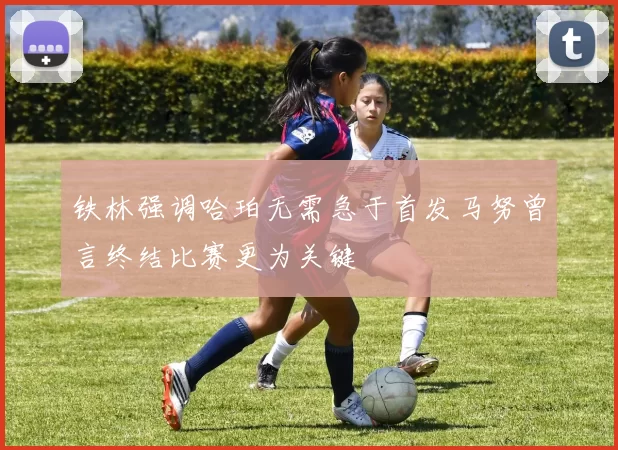 铁林强调哈珀无需急于首发马努曾言终结比赛更为关键