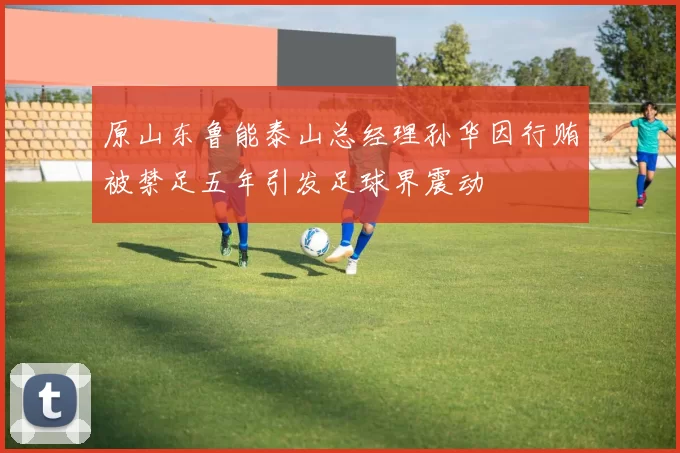 原山东鲁能泰山总经理孙华因行贿被禁足五年引发足球界震动